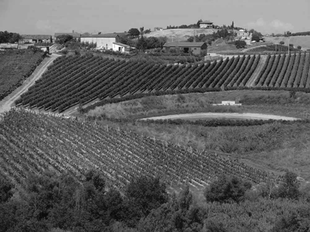 Fosso Corno
